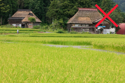 Houses behind fields