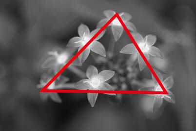 Small flowers (Diagram)