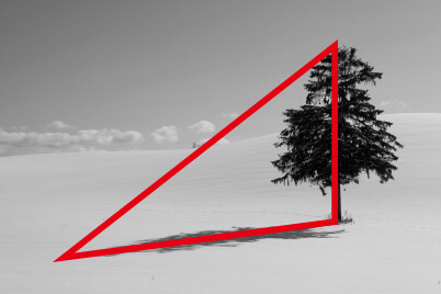 Tree in shadow in snow (showing triangle)