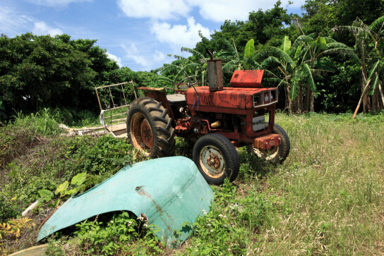 Main and secondary subject good example