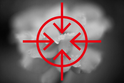 Centre composition diagram (Flower)