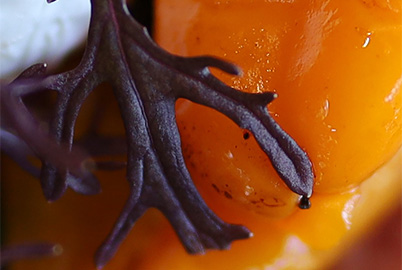 Close-up of area in Spot AF focusing frame