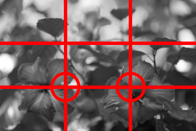 Diagram showing 3x3 grid and placement of flowers