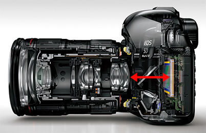 Back focus distance on EOS 5D Mark IV and EF lens