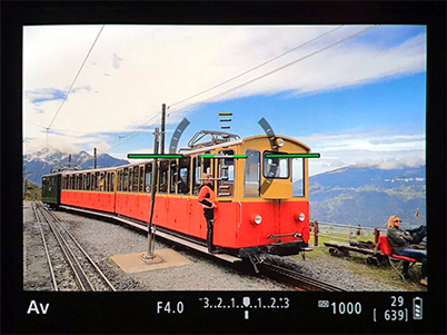 Preview with electronic level display