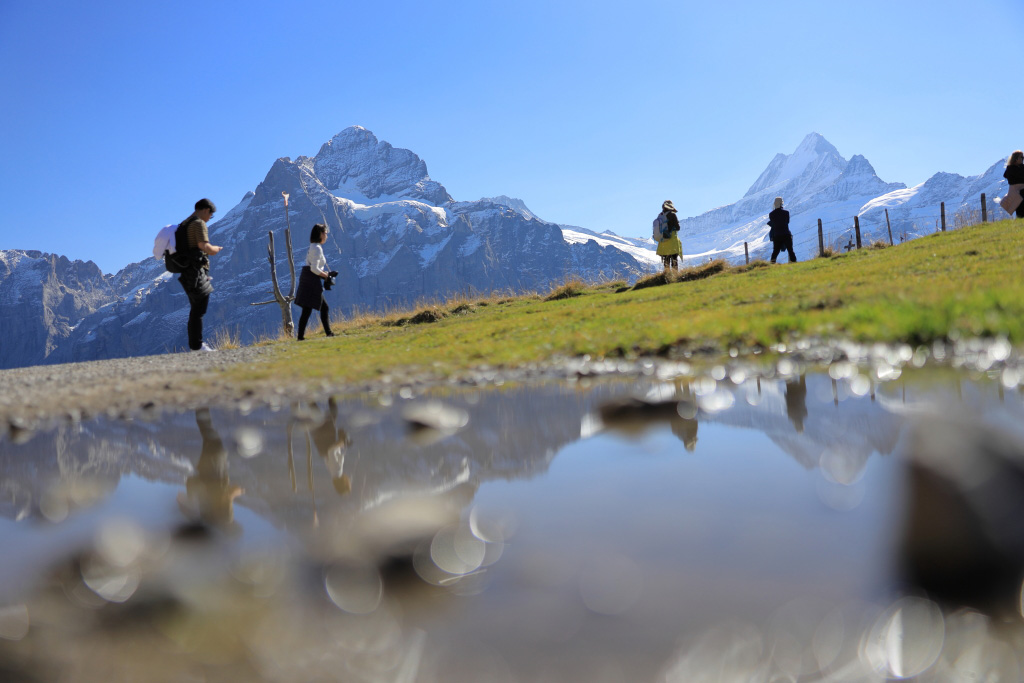 Puddle reflection of the Alps