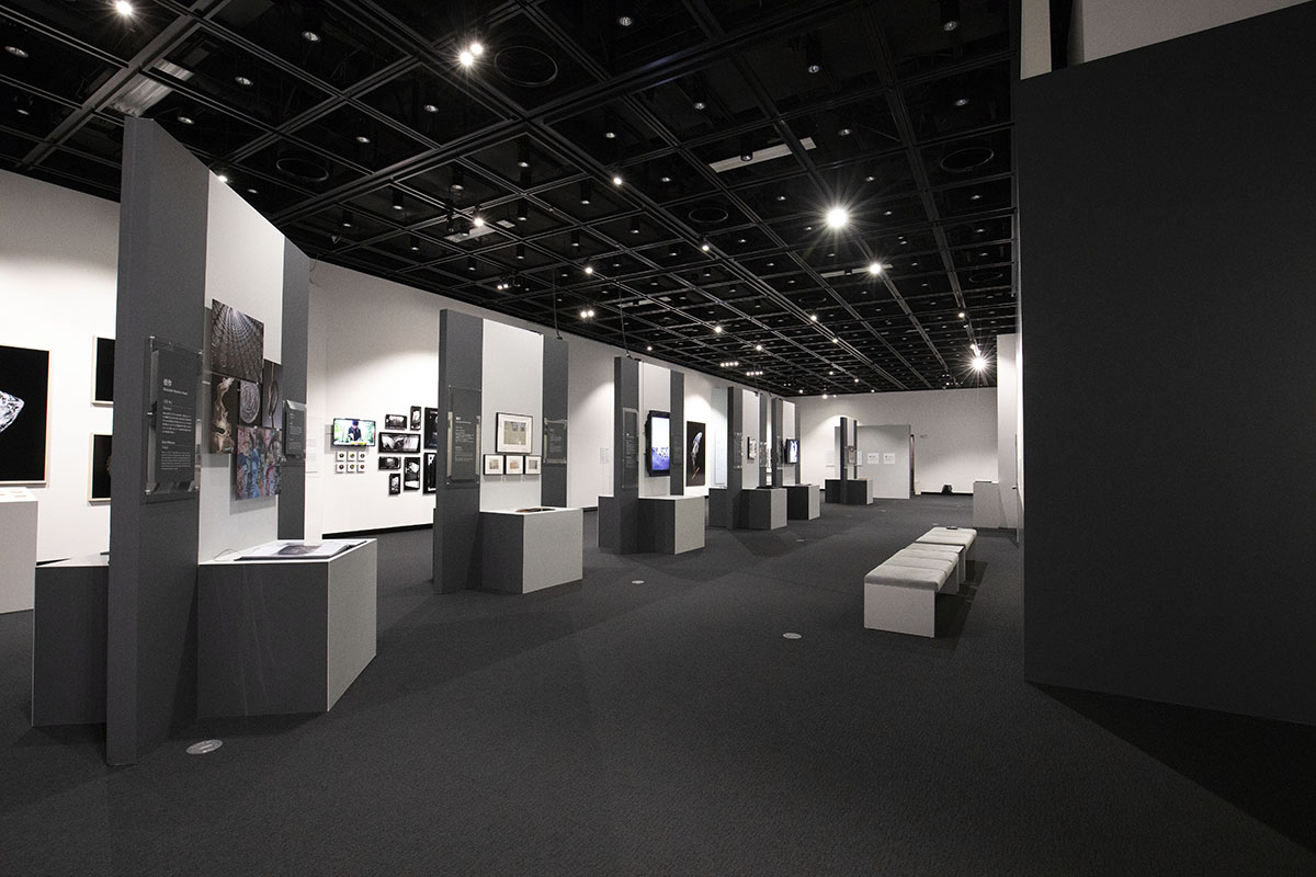 New Cosmos of Photography Exhibition 2018