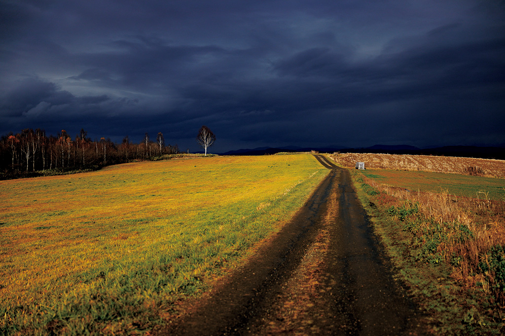 Field at night