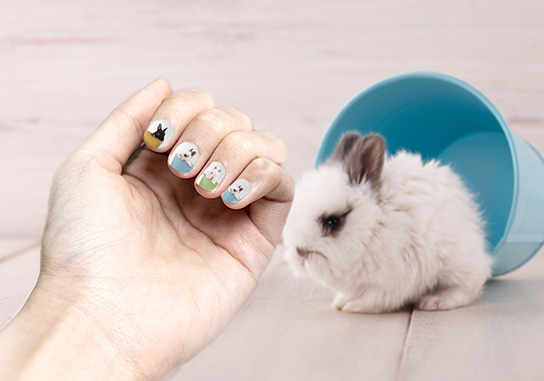 Nails and rabbit