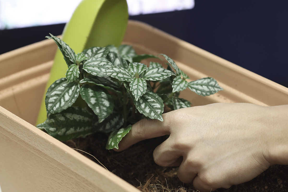 Gardening photography shot with Canon EOS camera