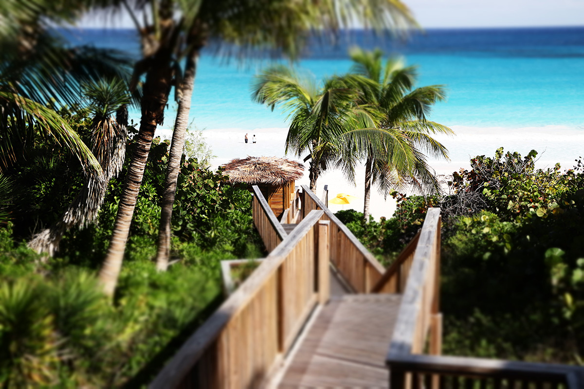 Miniature photography with Canon EOS 200D II