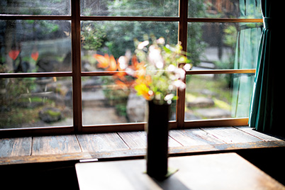 Shot with focus on window pane