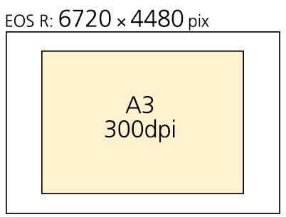 A3 in comparison to EOS R image resolution