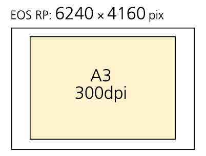A3 in comparison to EOS RP image resolution