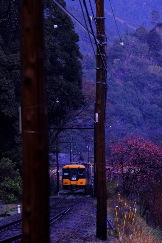 Train leaving station at dawn