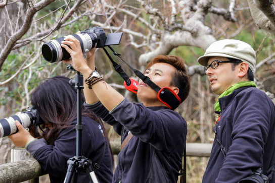 GOTO AKI with CPMAC participant