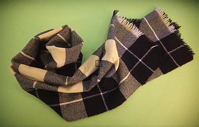 View through OVF on f/4 lens