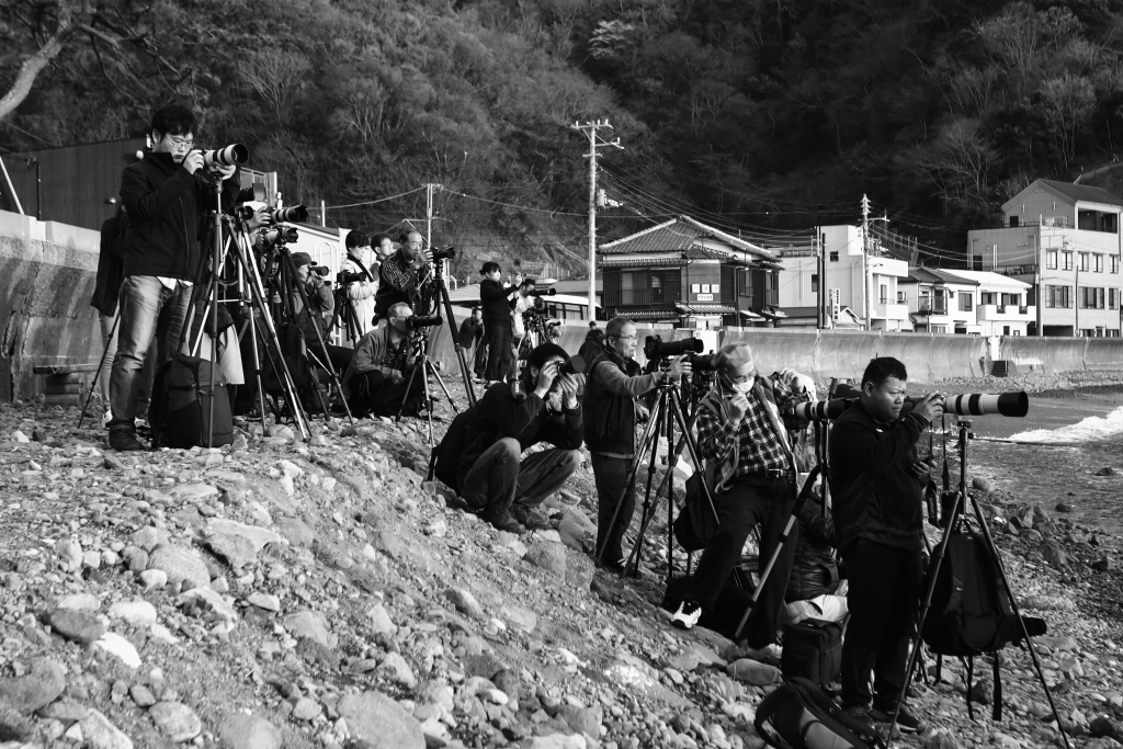 CPMC2019 participants at Otago Beach