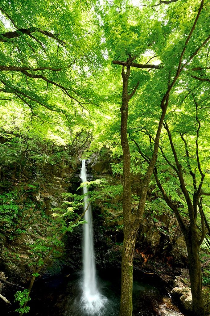 Image without ghosting