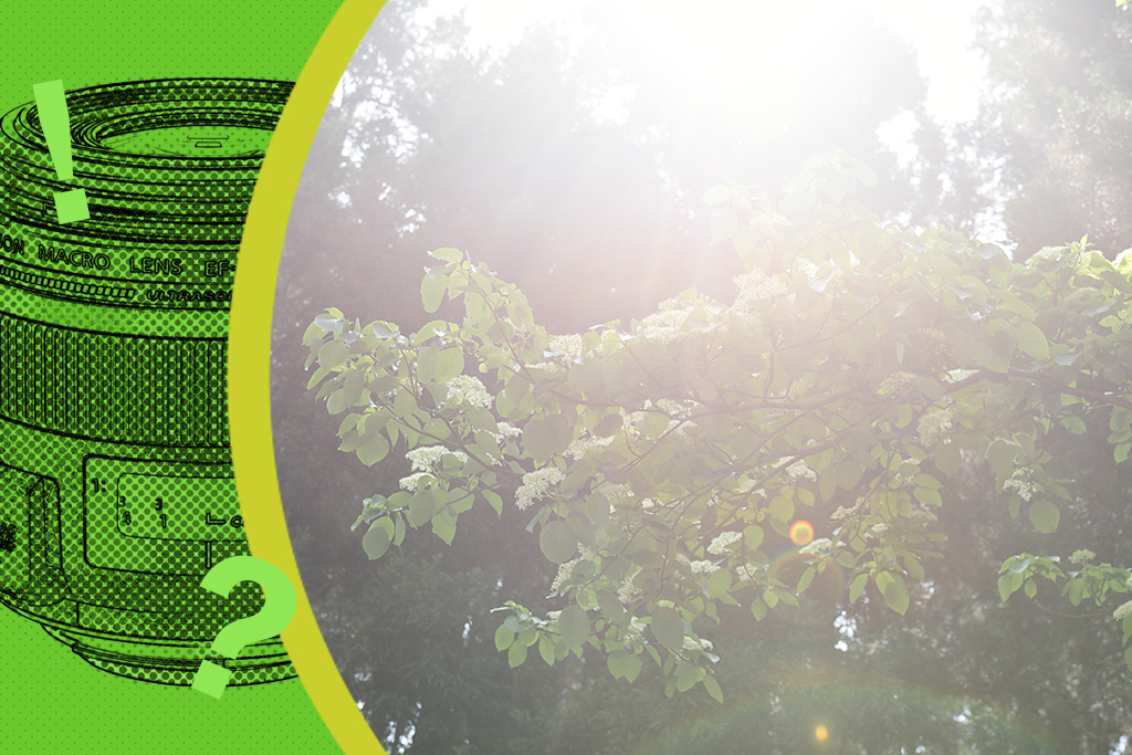 Lens FAQ flaring ghosting hero