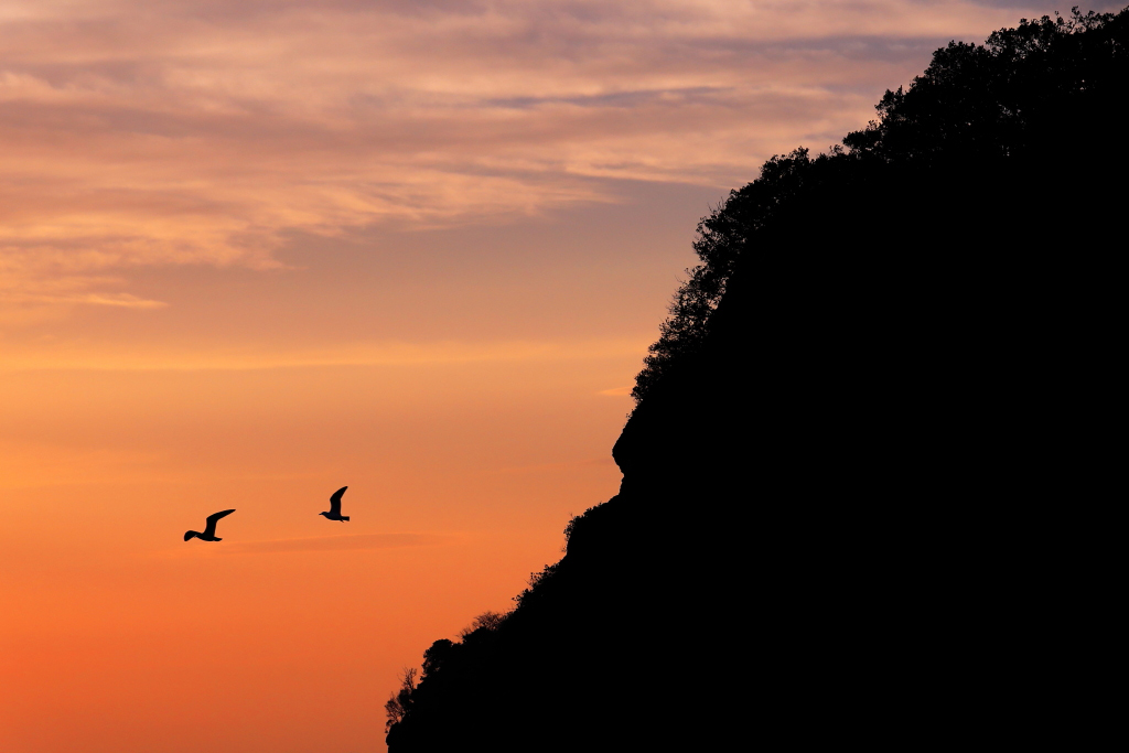 Cliff at sunset with flying birds 