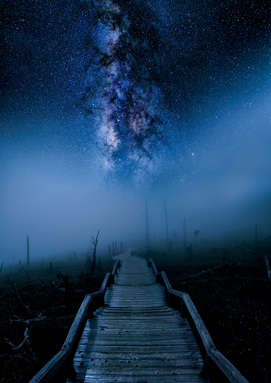 Milky Way over wooden path with fog