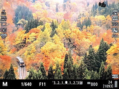 Full-screen EVF display