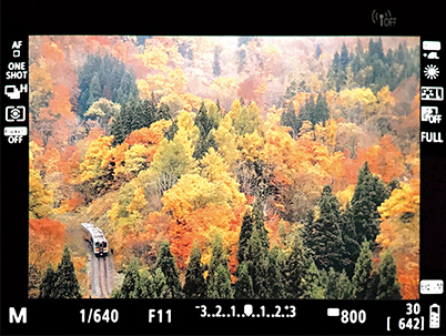 EVF display with margins