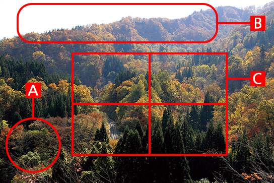 Train landscape showing composition points