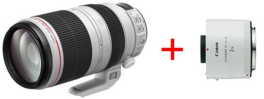 EF100-400mm f/4.5-5.6L IS II USM+ Extender EF2xIII