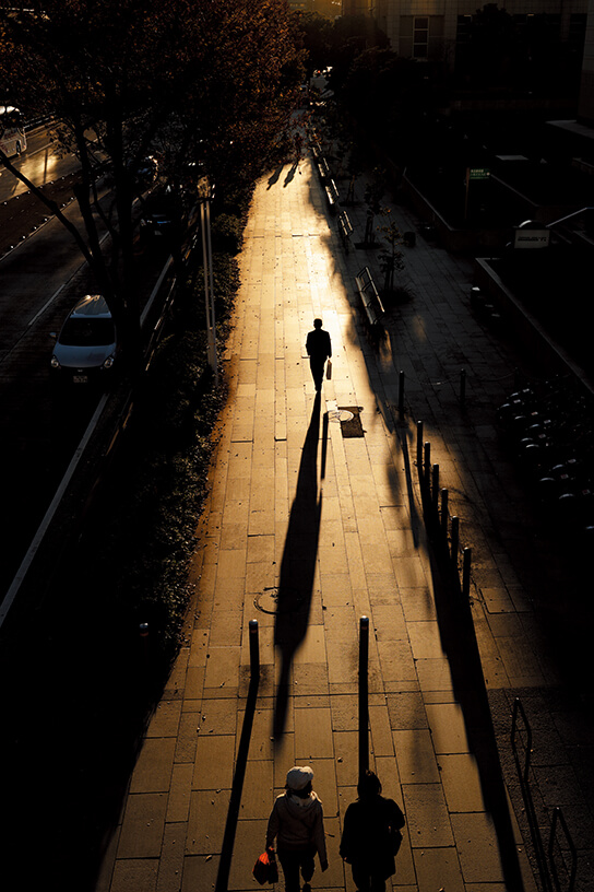 Shadows on street in evening