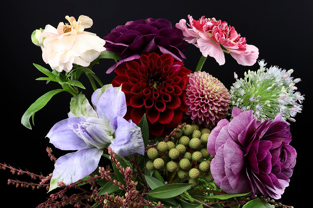 Focus stacked image of flowers