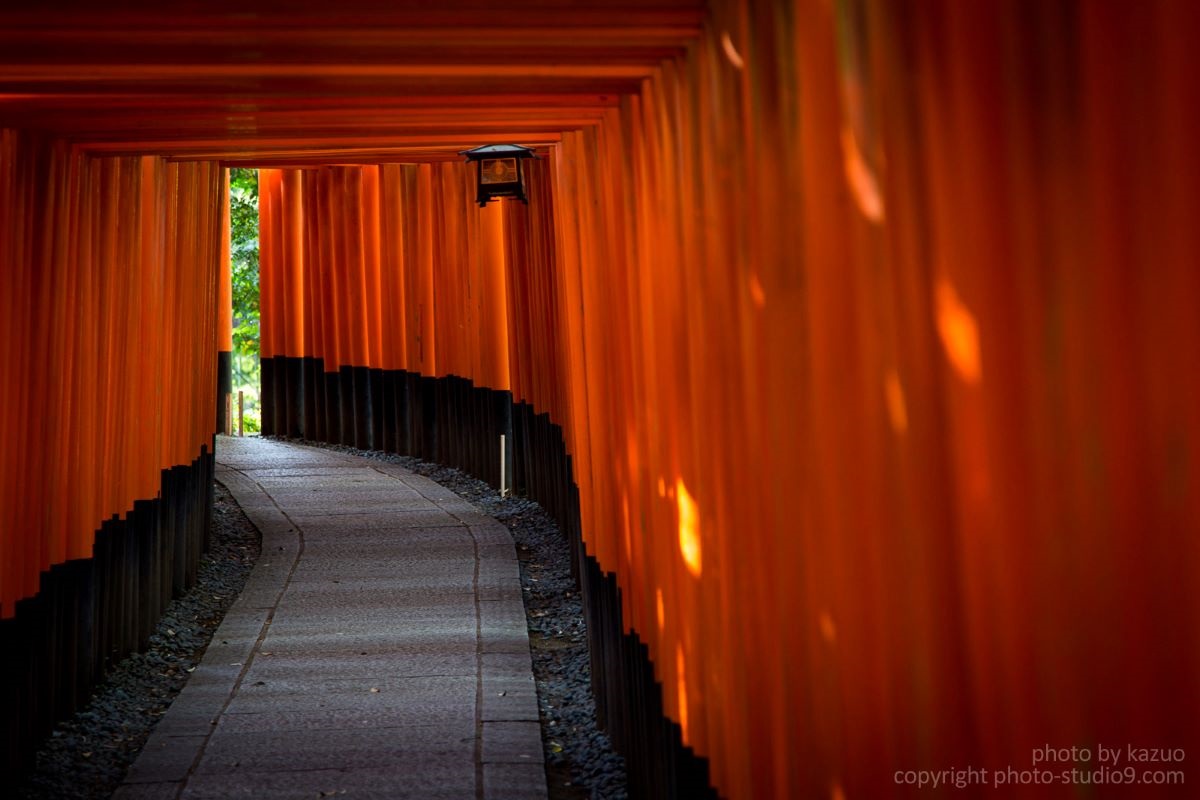 Torii showing composition