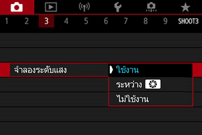 หน้าจอเมนูการจำลองระดับแสง