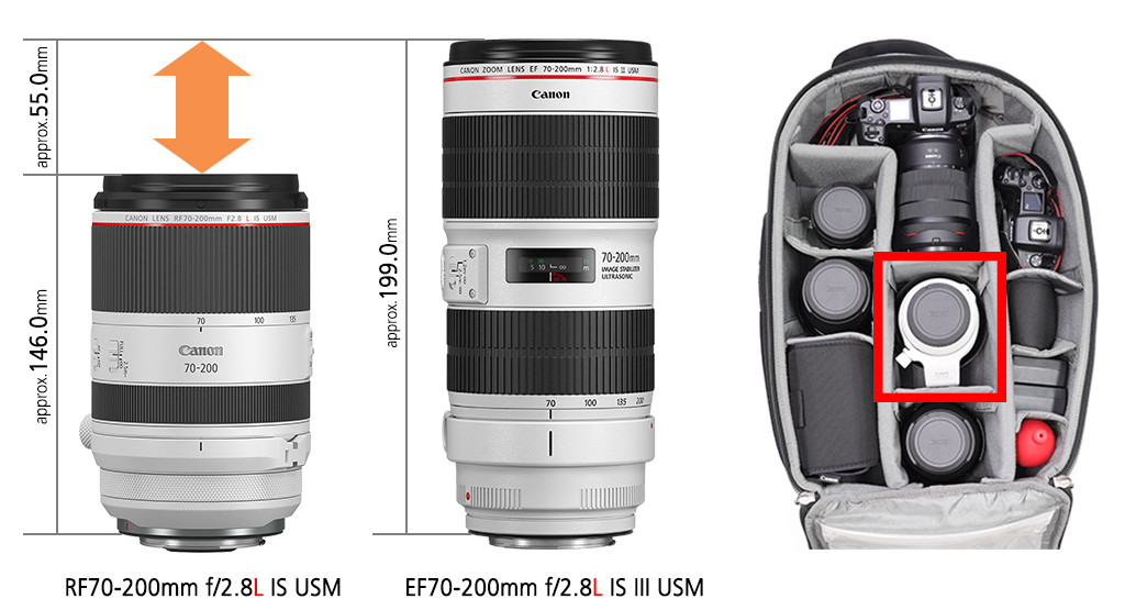 Sizes of the EF and RF versions