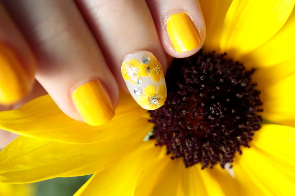 Macro photo with EOS M200 and EF-M macro lens