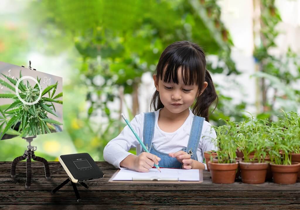 Rayo with girl drawing plants