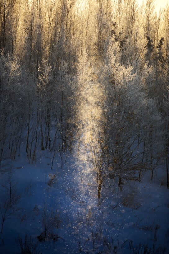 Sun pillar bokeh circles
