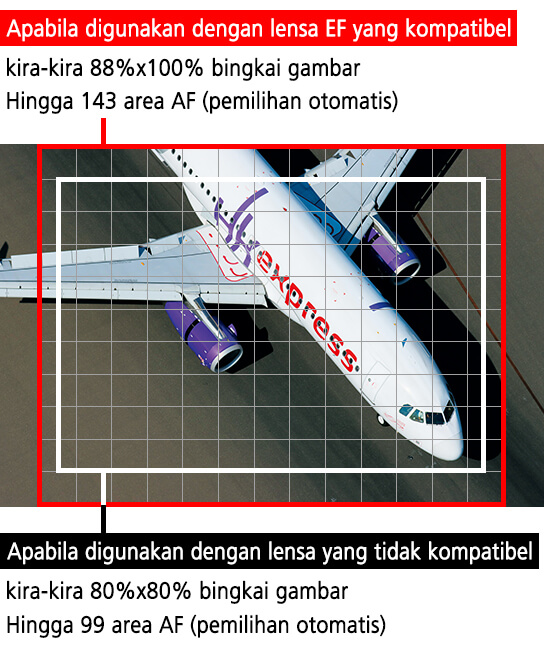 Gambar menunjukkan perbedaan ukuran area AF