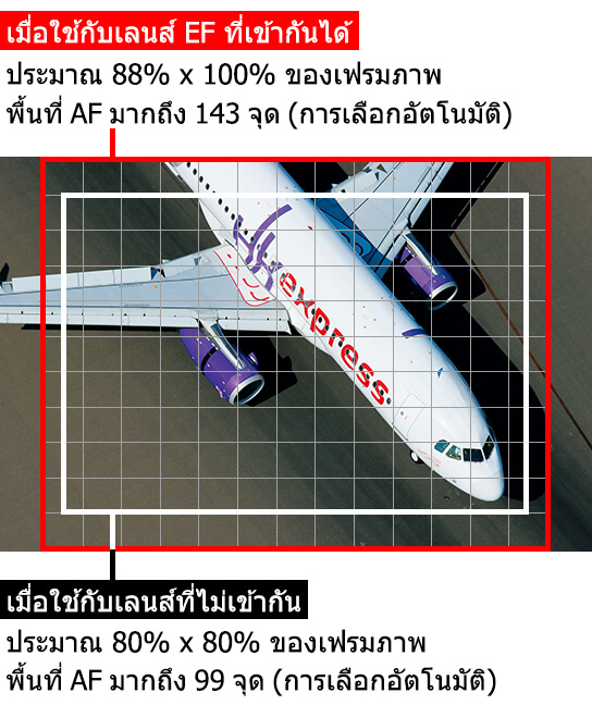 ภาพแสดงความแตกต่างของขนาดพื้นที่ AF