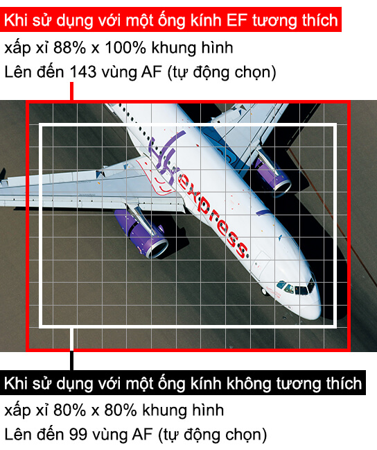 Ảnh cho thấy sự khác biệt về kích thước khu vực AF