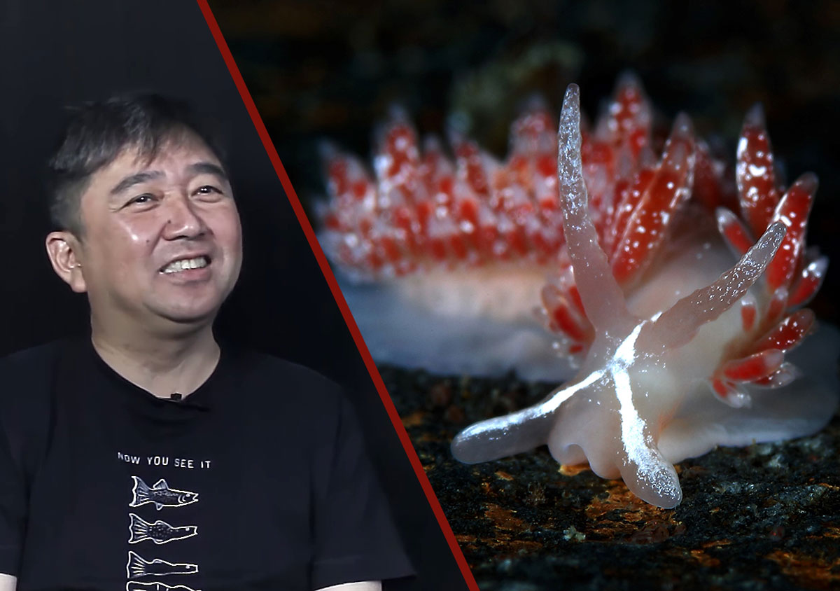 Interview with William Tan