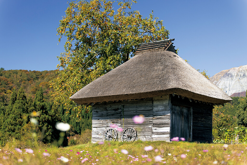 Small hut thatched roof hut in a field