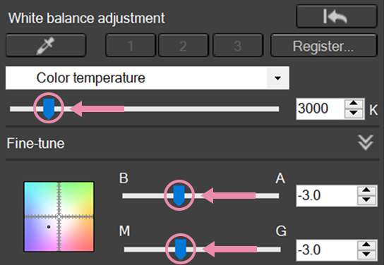 White balance adjustment palette on DPP