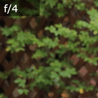 GIF comparing bokeh