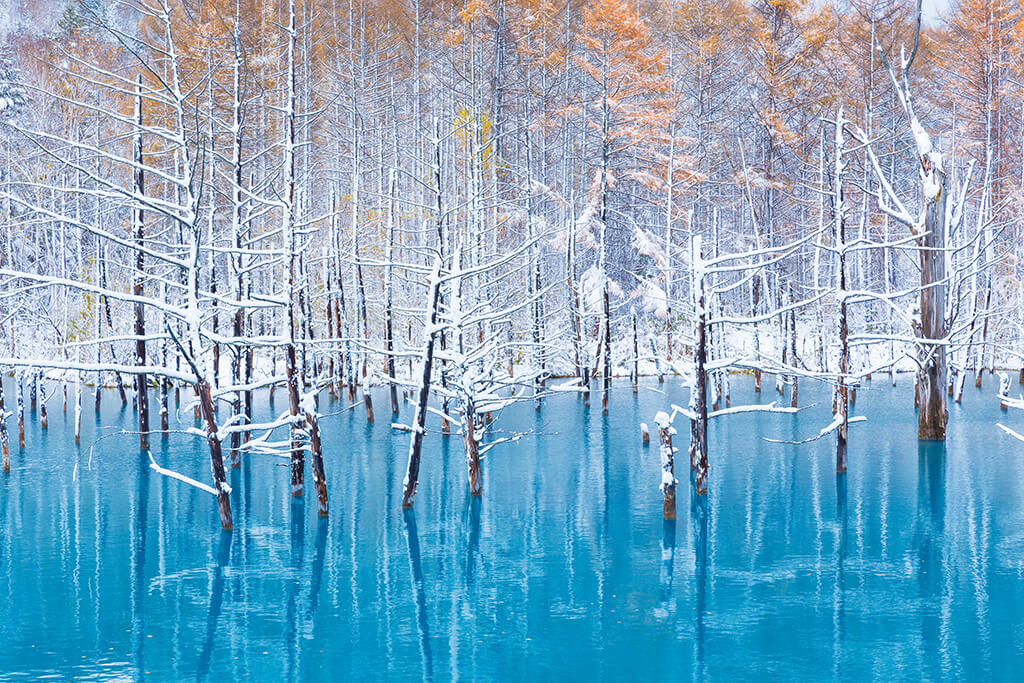 Blue Pond with snow-covered trees