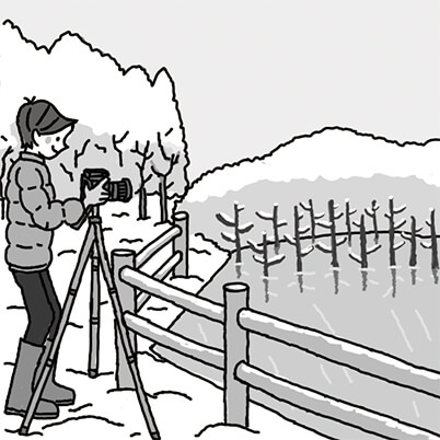 Illustration of shooting position