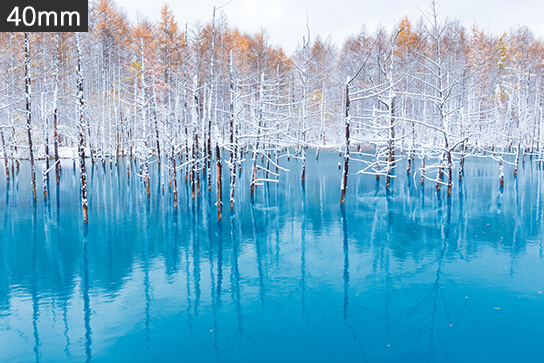 Blue Pond with trees and sky