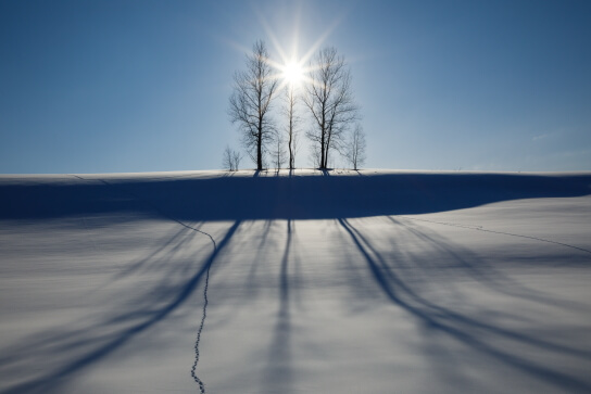 Halo with sun turned into starburst