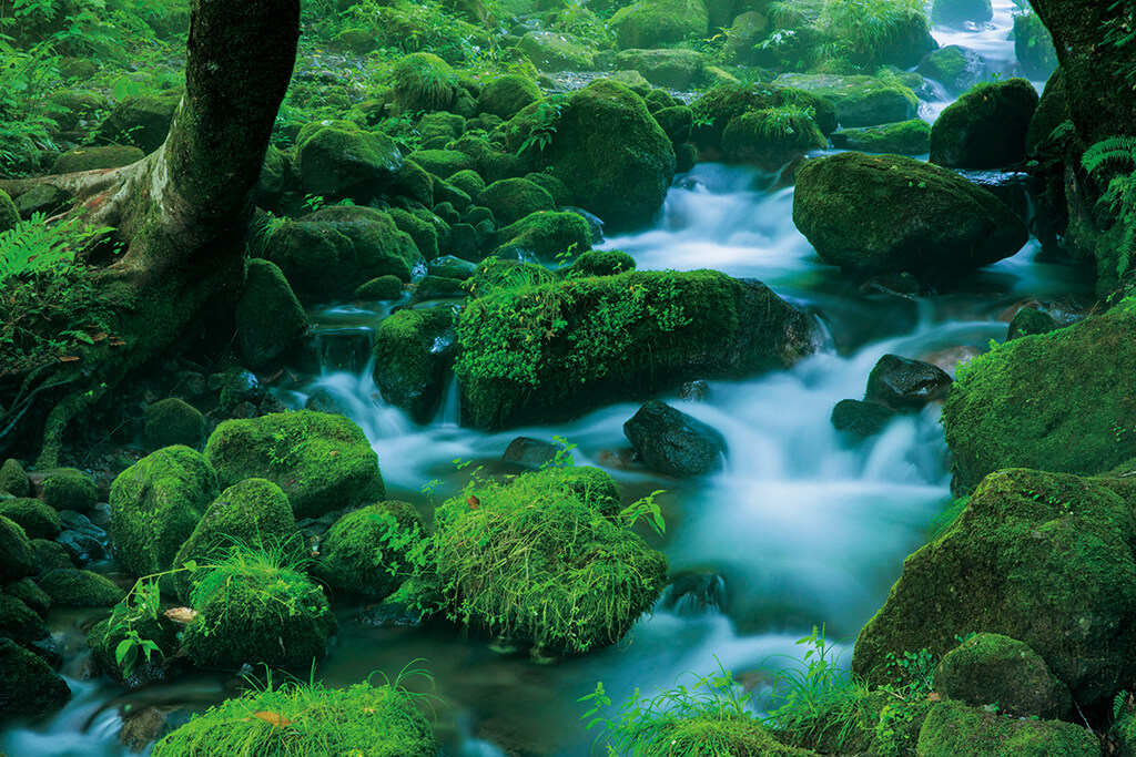 Slow shutter shot of river and mossy rocks